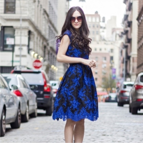 Eliza J Blue Lace Dark Floral Knee Length Dress Size 10 - Picture 1 of 6